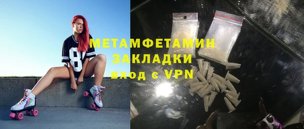индика Новокубанск