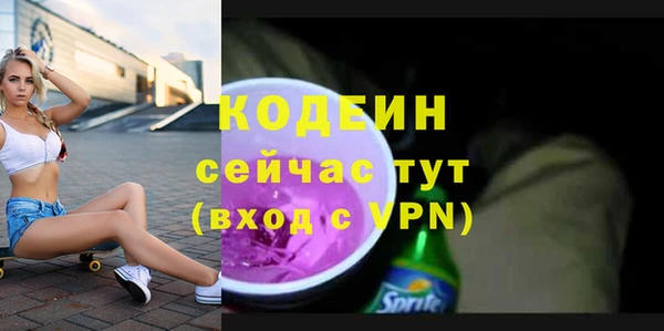 СК Новозыбков