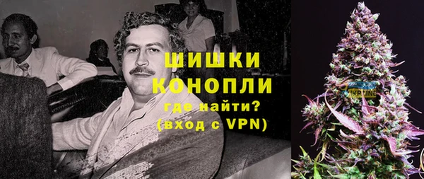 СК Новозыбков