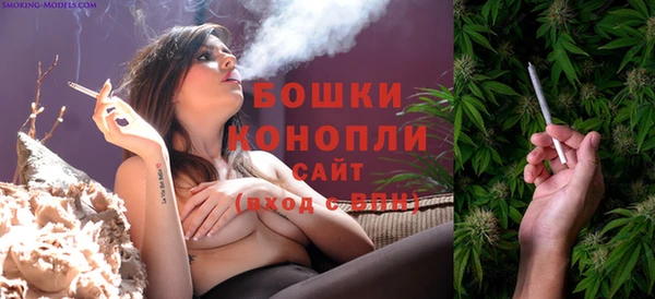 индика Новокубанск